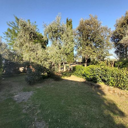 Vila Tenuta Santa Maria Campagnatico Exteriér fotografie