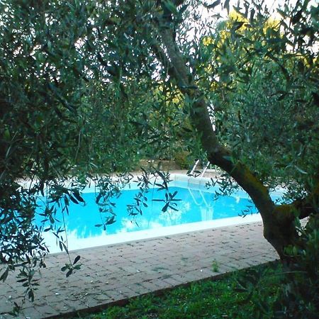 Vila Tenuta Santa Maria Campagnatico Exteriér fotografie