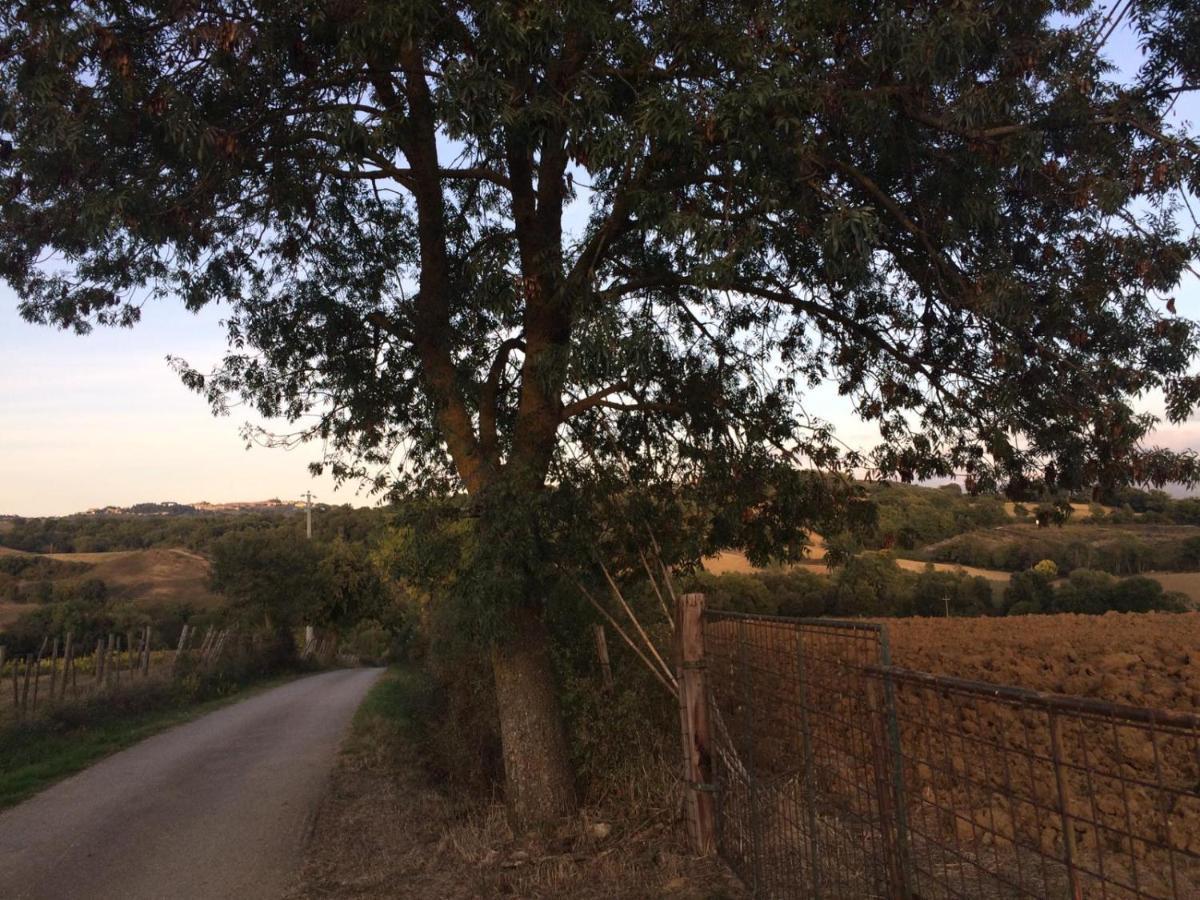 Vila Tenuta Santa Maria Campagnatico Exteriér fotografie