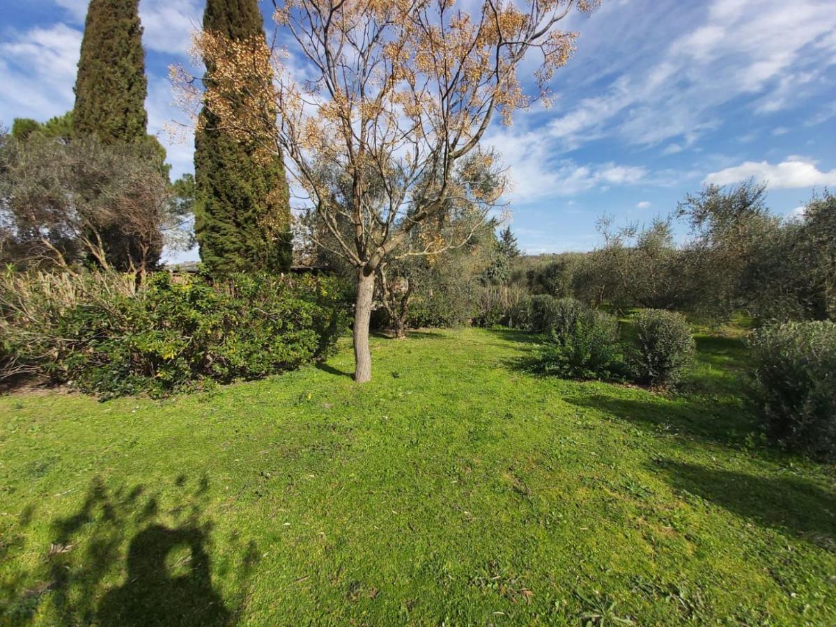 Vila Tenuta Santa Maria Campagnatico Exteriér fotografie