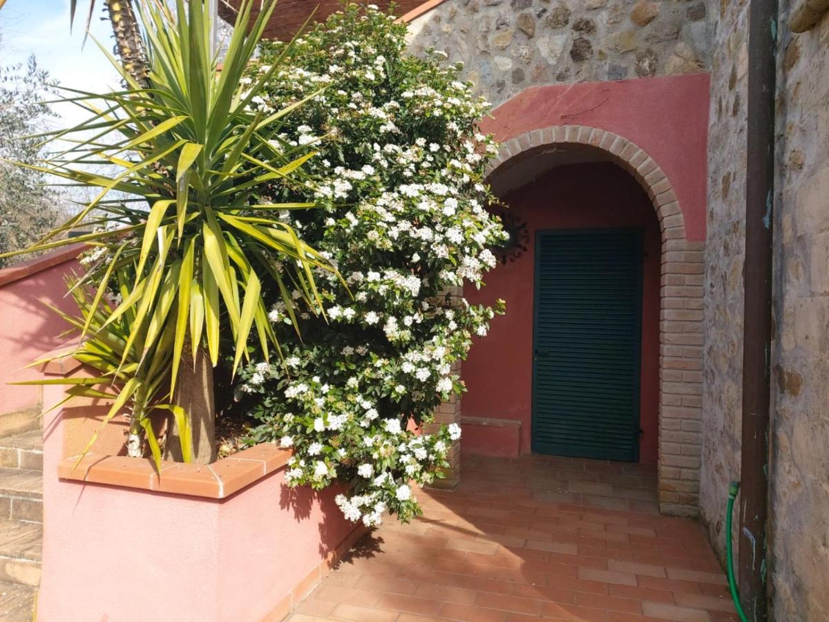 Vila Tenuta Santa Maria Campagnatico Exteriér fotografie
