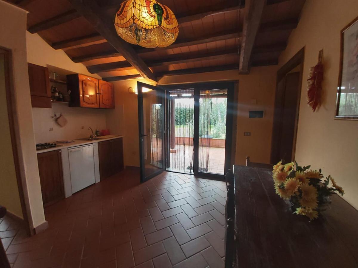 Vila Tenuta Santa Maria Campagnatico Exteriér fotografie