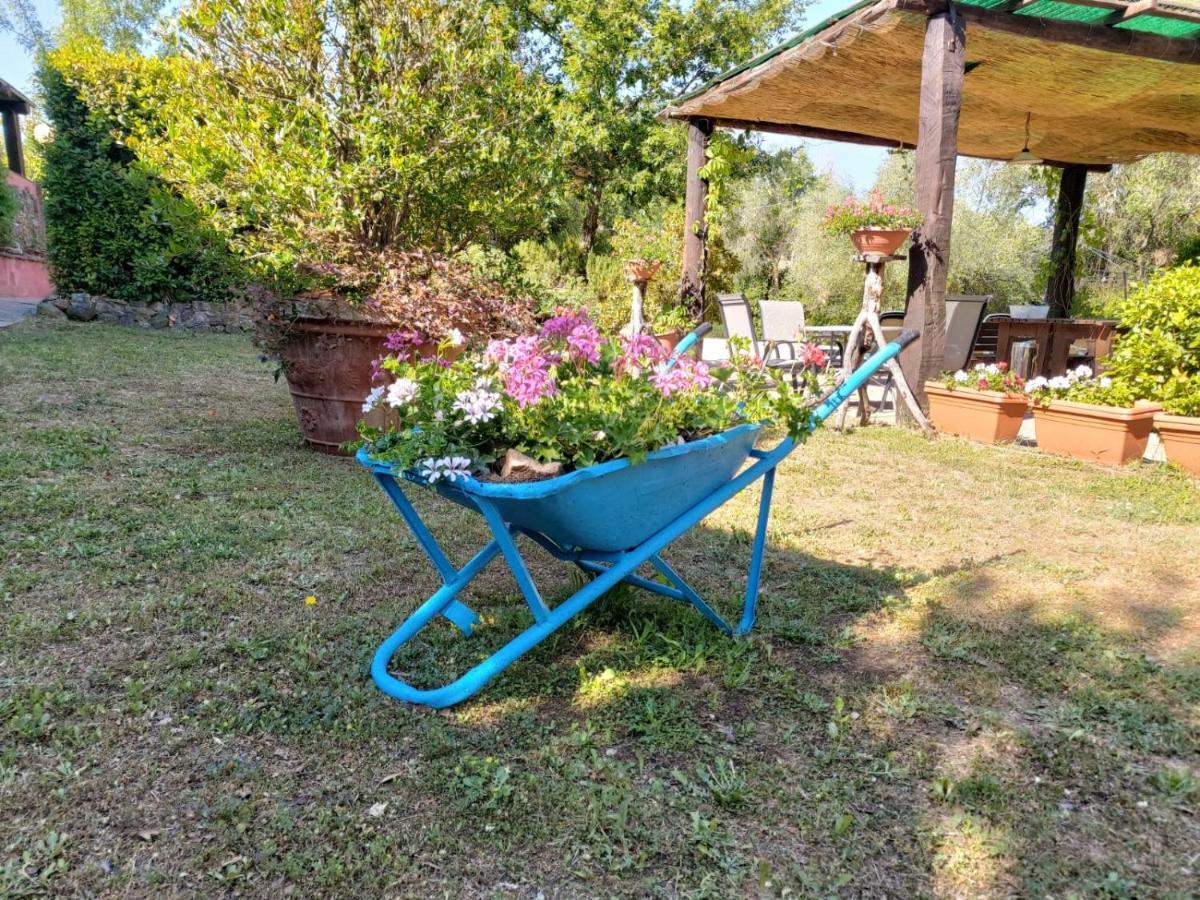 Vila Tenuta Santa Maria Campagnatico Exteriér fotografie