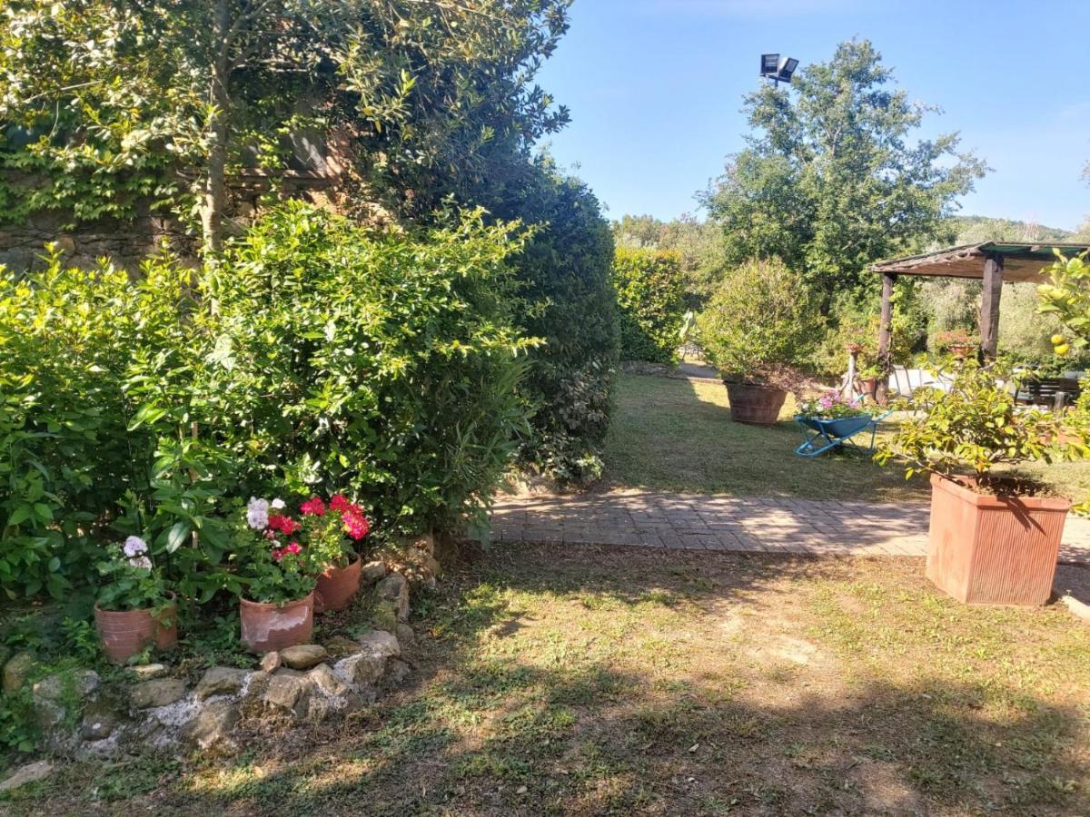 Vila Tenuta Santa Maria Campagnatico Exteriér fotografie
